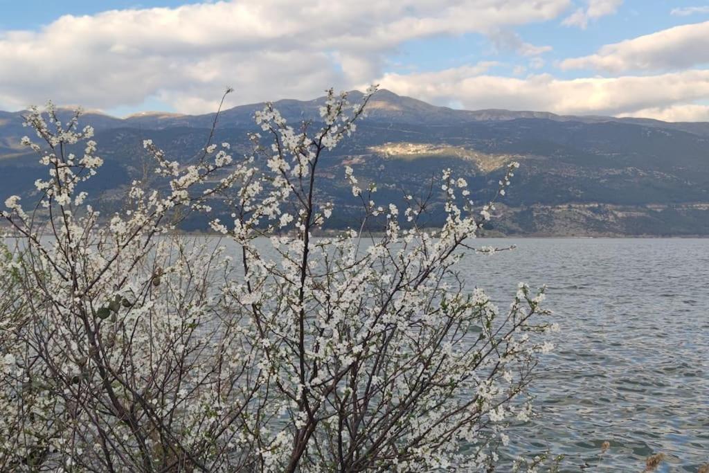 Vakantiehuis η πέρλα της λίμνης/ The Lake's Pearl *